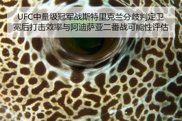 UFC中量级冠军战斯特里克兰分歧判定卫冕后打击效率与阿迪萨亚二番战可能性评估